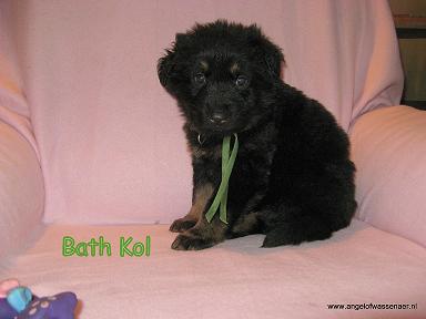 Bath Kol